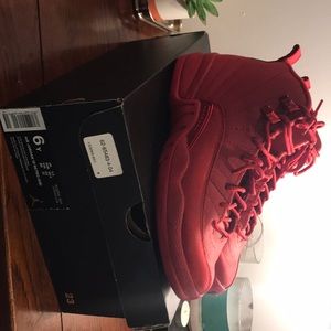 air Jordan 12 retro